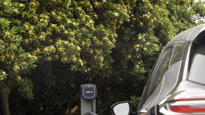 Wallbox Charger Mounted on a Pedestal in City of Los Angeles Photo